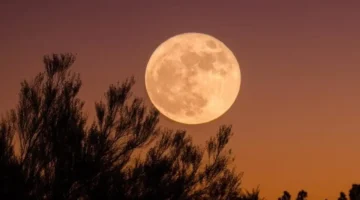 موعد استطلاع هلال شوال وعدد أيام رمضان 2026 فلكيًا